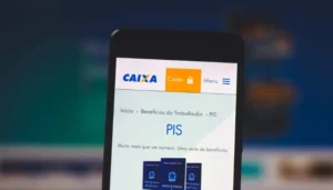 Guia completo para Consultar PIS pelo CPF