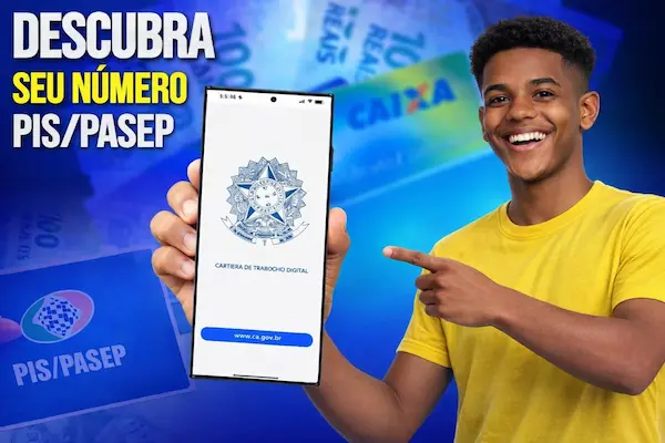 como saber o número do pis